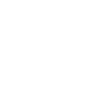 Logo Genesis
