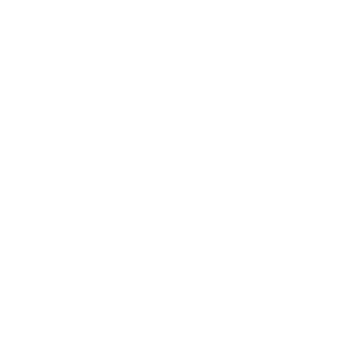 Logo Hyundai