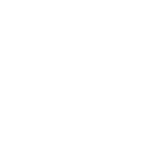 Logo IBA