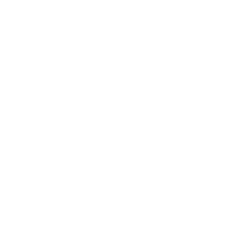 Logo Roxy
